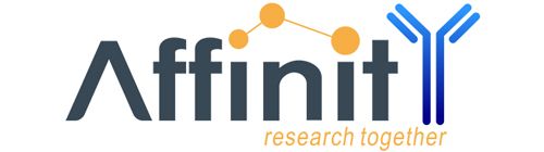 Affinity Logo Fn