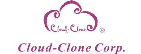 Cloud Clone Logo Fn